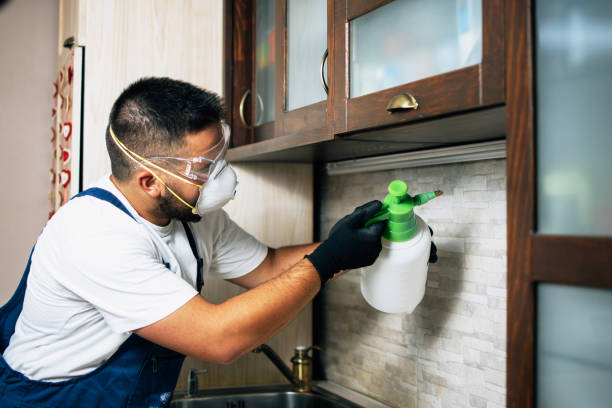 Best Best Pest Control Companies  in Wise, VA
