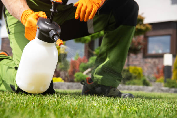 Best Best Pest Control Companies  in Wise, VA
