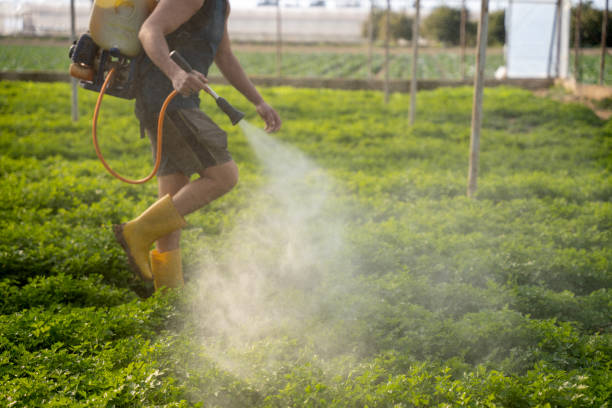 Best Exterminator Services  in Wise, VA