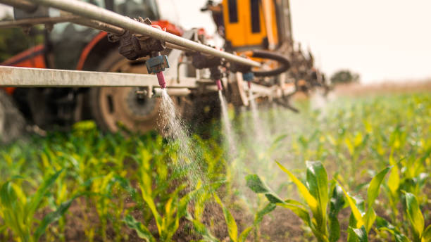Best Pest Control for Businesses  in Wise, VA